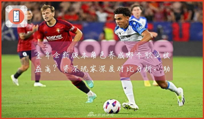 金年会新版本角色养成哪个职业收益高？资深玩家深度对比分析，助你少走弯路！